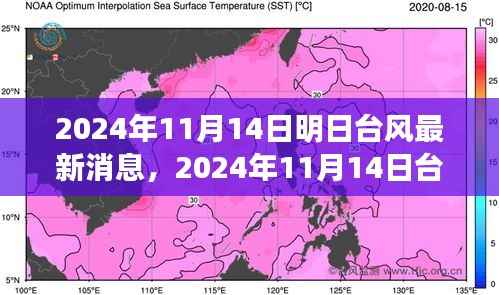 台风最新消息深度评测,特性、体验、竞品对比与用户分析(2024年台风动态)