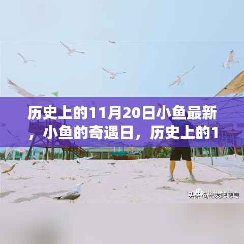 历史上的11月20日,小鱼奇遇日的温馨小事回顾