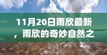 雨欣的11月20日奇妙探险,自然之旅寻找心灵宁静与笑声