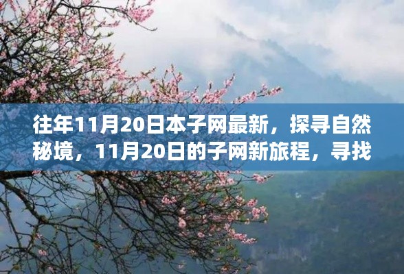 往年11月20日本子网最新,探寻自然秘境,11月20日的子网新旅程,寻找内心的桃花源