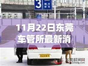 东莞车管所温馨日常,趣事与陪伴的特别记录(11月22日最新消息)