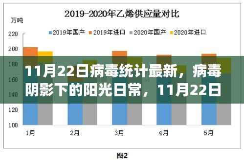 11月22日病毒最新统计,阳光日常中的温馨小故事