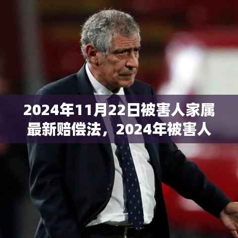 深度解读2024年被害人家属赔偿法,背景、进展与影响