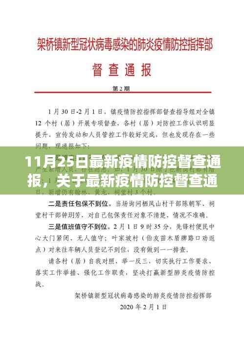 聚焦要点解读,最新疫情防控督查通报分析(11月25日版)