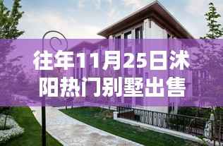 沭阳智能别墅,科技重塑居住品质,未来居住新体验热卖中