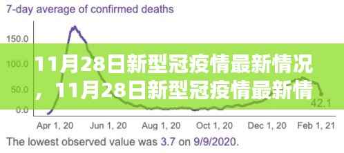 全面评测与深度解析,11月28日新冠疫情最新情况