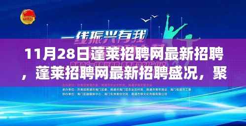 11月28日蓬莱招聘网最新招聘盛况,职场风向标聚焦