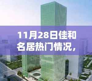 佳和名居11月28日瞩目时刻,回溯与影响分析