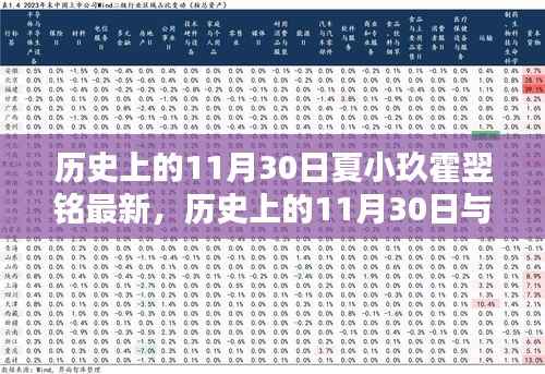 历史上的11月30日与夏小玖霍翌铭,深度解读与最新观点阐述