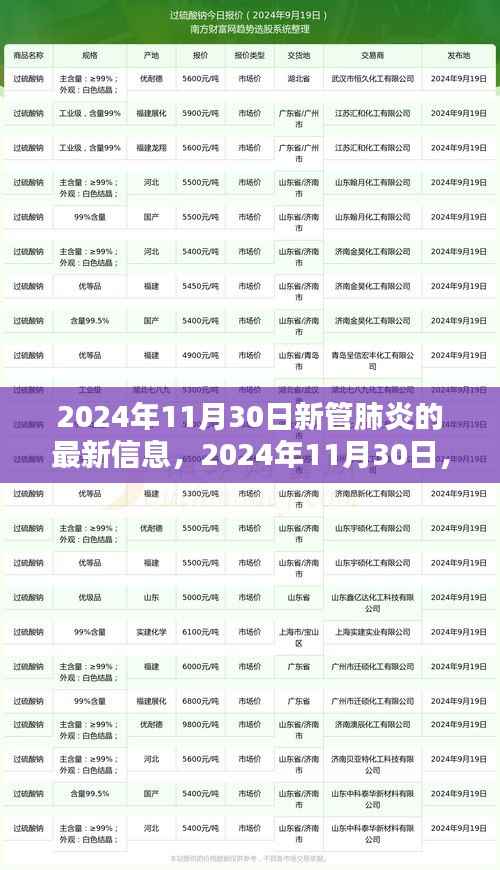 2024年11月30日新管肺炎最新动态,揭示最新篇章