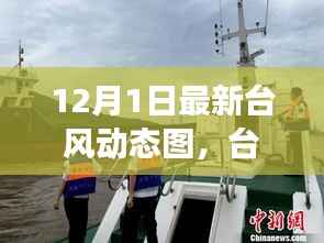 台风逆袭背后的力量与乐观幽默,最新动态图解析