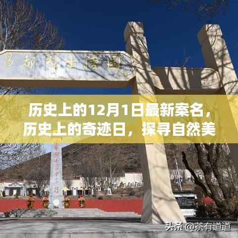 探寻奇迹日,历史上的自然美景之旅与宁静革命之路的探寻