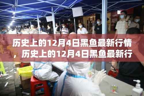历史上的12月4日黑鱼行情深度解析,特性、体验、竞品对比与用户群体分析