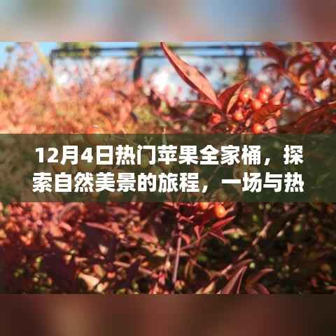 苹果全家桶冬日之旅,探索自然美景的奇妙邂逅