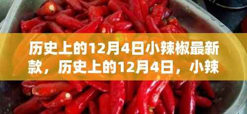 历史上的小辣椒最新款诞生与影响,揭秘12月4日的独特意义