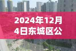 揭秘东城区公租房新风尚与隐藏小巷特色小店,探寻烟火气息的独特体验(2024年12月4日)