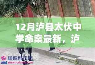 容光焕发 第6页