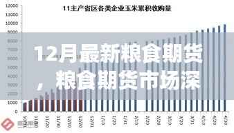 聚焦粮食期货市场深度洞察,十二月最新动态与市场趋势