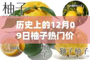 揭秘柚子历史价格,柚子价格查询全攻略(适合初学者与进阶用户)