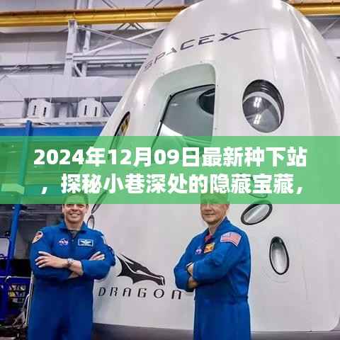 探秘最新种下站,小巷深处的隐藏宝藏与特色小店推荐(2024年12月09日)