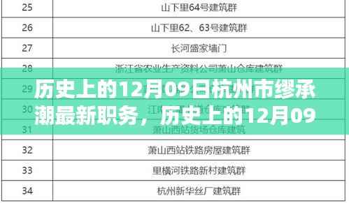 杭州市缪承潮新任职务深度解析,职责特点、用户体验与竞品对比