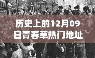 容光焕发 第4页