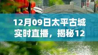 揭秘太平古城直播日,巷弄深处的独特小店与探秘之旅