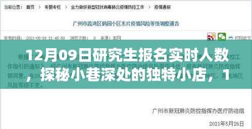 探秘独特小店与研究生报名背后的故事,实时人数揭晓