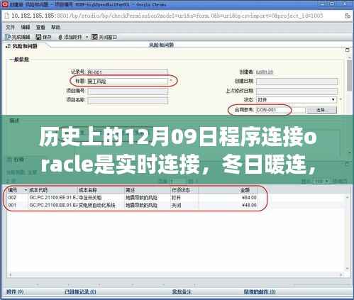 我与Oracle的实时缘分,历史中的暖心连接与冬日数据库温情故事
