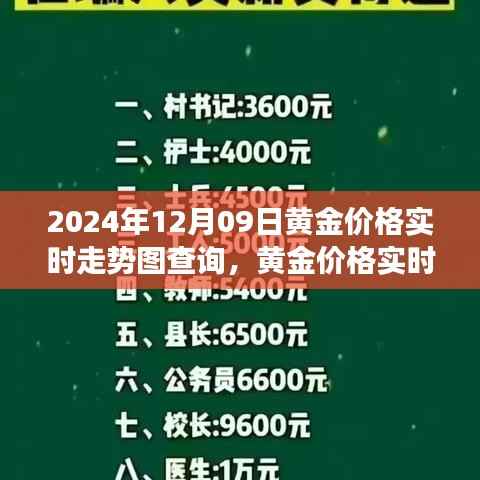 黄金市场脉动解读,2024年黄金价格实时走势图查询