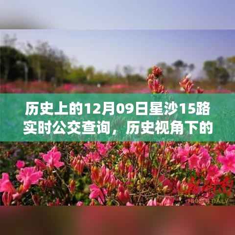 历史视角下的星沙公交发展,星沙公交查询系统深度探讨与实时公交查询服务解析(附,历史上的星沙公交变迁)