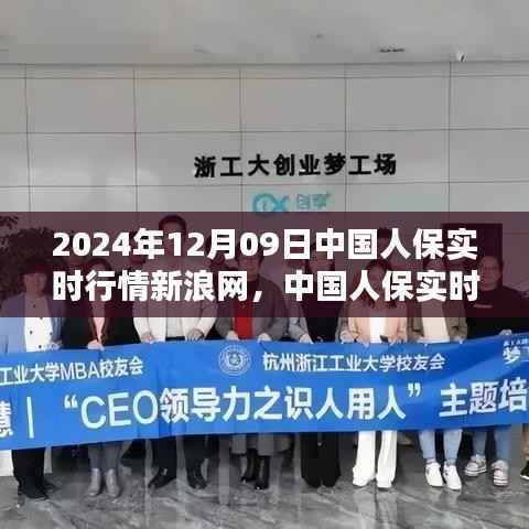 中国人保新浪网实时行情评测报告,产品特性与用户体验深度解析