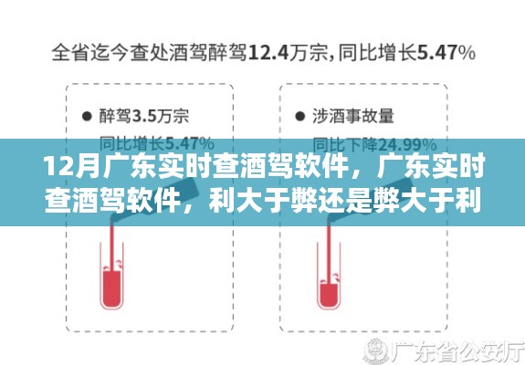 广东酒驾实时查软件,利与弊的权衡