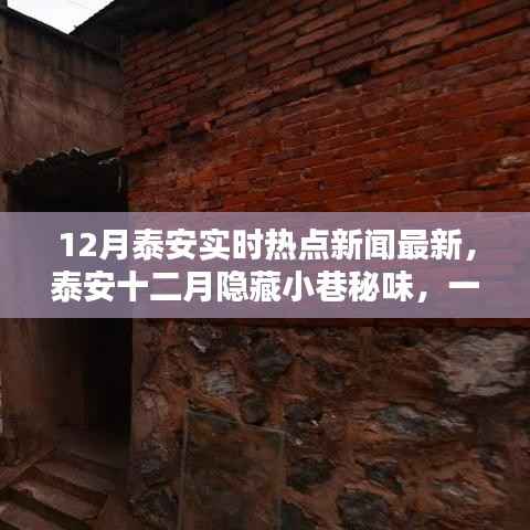 泰安十二月热点新闻与隐藏小巷的特色美食探索,一家特色小店的惊喜之旅