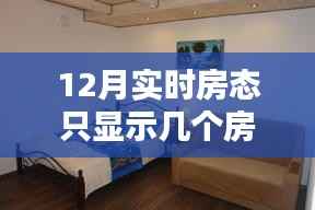 解决策略,针对12月实时房态仅显示有限房间号问题的策略与建议