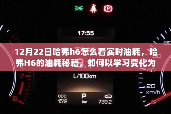 哈弗H6实时油耗秘籍,学习变化为燃料,驶向自信彼岸的指南