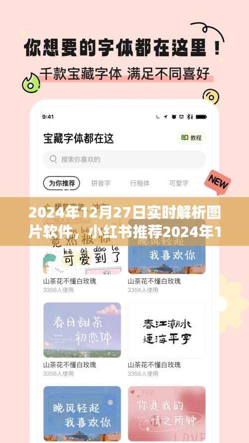 小红书推荐的实时解析图片软件,功能解析与体验分享(2024年12月27日版)