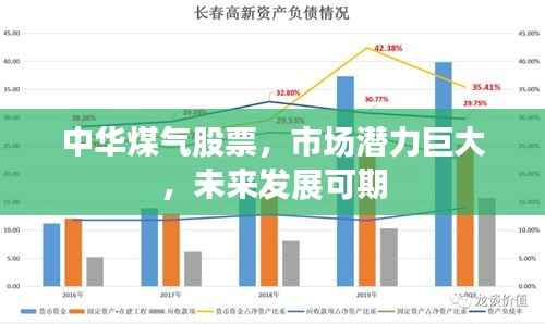 中华煤气股票,市场潜力巨大,未来发展可期