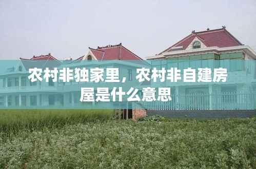 农村非独家里,农村非自建房屋是什么意思