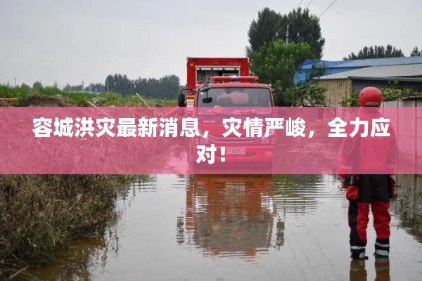 容城洪灾最新消息,灾情严峻,全力应对!