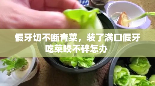星星打烊 第3页