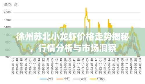 徐州苏北小龙虾价格走势揭秘,行情分析与市场洞察