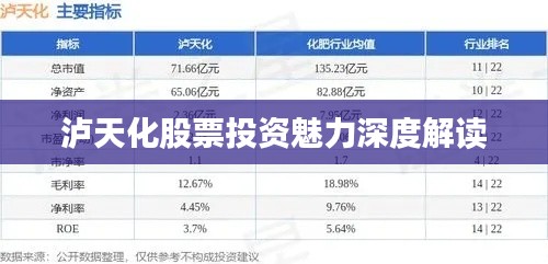 泸天化股票投资魅力深度解读