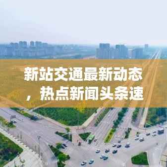 富贵荣华 第3页