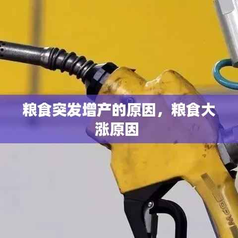 粮食突发增产的原因，粮食大涨原因 