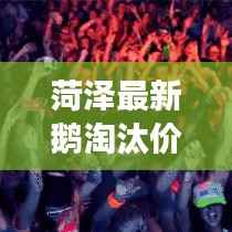 菏泽最新鹅淘汰价格及市场走势深度解析