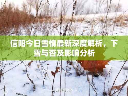 信阳今日雪情最新深度解析,下雪与否及影响分析