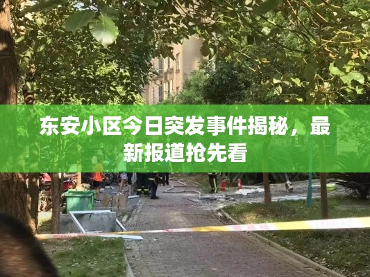 东安小区今日突发事件揭秘,最新报道抢先看