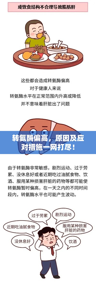 转氨酶偏高,原因及应对措施一网打尽!