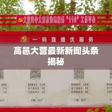 puzhangyangli 第2页